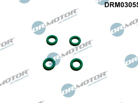 Clapeta de inchidere,supracurgere combustibil Dr.Motor Automotive DRM0305S