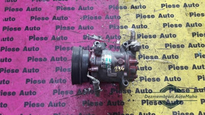 Compresor ac Renault Clio 3 (2005-2008) 8200220924