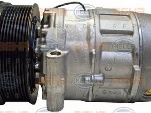 Compresor clima MERCEDES-BENZ ACTROS HELLA 8FK351176041