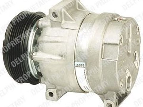 Compresor clima NISSAN INTERSTAR platou sasiu DELPHI TSP0155023