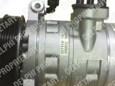 Compresor clima OPEL ANTARA DELPHI TSP0155499 PieseDeTop