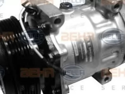 Compresor clima RENAULT ESPACE III JE0 HELLA 8FK351126161 PieseDeTop