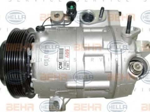 Compresor, climatizare HYUNDAI SANTA F II (CM) - HELLA 8FK 351 001-281