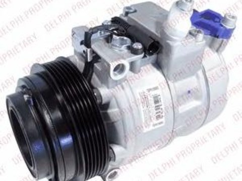 Compresor, climatizare MERCEDES-BENZ CL-CLASS cupe (C140), MERCEDES-BENZ S-CLASS limuzina (W140), MERCEDES-BENZ G-CLASS (W463) - DELPHI TSP0159083