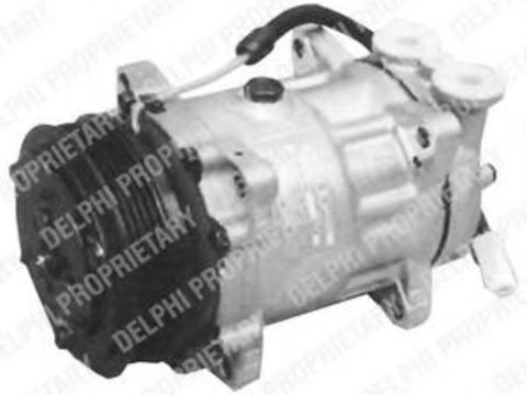 Compresor, climatizare PEUGEOT 106 (1A, 1C), PEUGEOT 306 hatchback (7A, 7C, N3, N5), PEUGEOT 306 Cabriolet (7D, N3, N5) - DELPHI TSP0155114