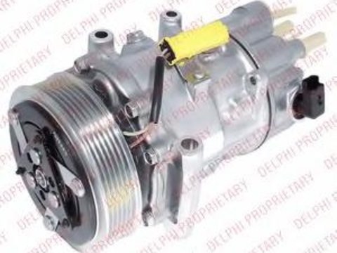 Compresor, climatizare PEUGEOT 307 (3A/C), PEUGEOT 307 SW (3H), PEUGEOT 307 Estate (3E) - DELPHI TSP0155954