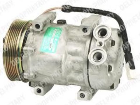 Compresor, climatizare PEUGEOT 406 limuzina (8B), FIAT SCUDO Combinato (220P), PEUGEOT EXPERT (224) - DELPHI TSP0155273