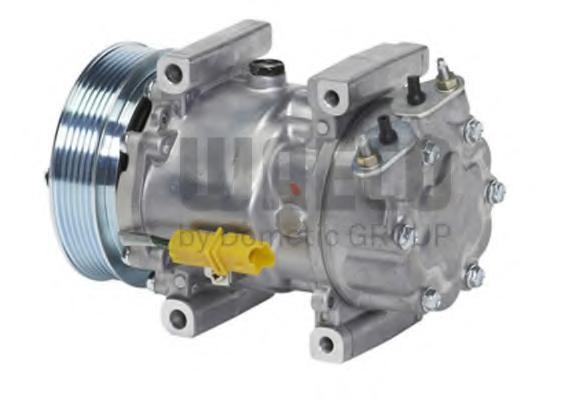 Compresor, climatizare RENAULT MEGANE I (BA0/1_), RENAULT MEGANE I Coup (DA0/1_), Citroen BERLINGO I caroserie (M_) - WAECO 8880100301