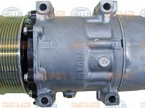 Compresor, climatizare RENAULT TRUCKS Midlum, VOLVO FL II, RENAULT TRUCKS Premium 2 - HELLA 8FK 351 135-471