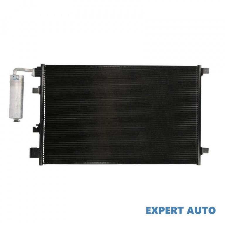 Condensator, climatizare Nissan Qashqai (2007->)[J10,NJ10,JJ10E] #4 072033N