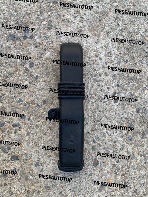 Conducta aer Renault Megane 4 244937539R OE