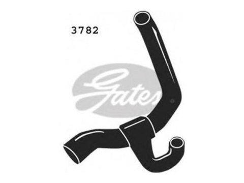 Conducta apa Ford ESCORT CLASSIC Turnier (ANL) 1999-2000 #2 1045162