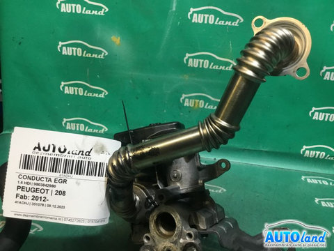 Conducta EGR 9803842980 1.6 HDI Peugeot 208 2012