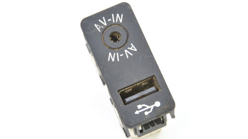 Conector Auxiliar USB Mini MINI COUNTRYM