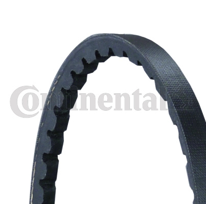 CONTINENTAL CTAM Curea transmisie AVX10X1025 pentru VW LT 28-35 I platou / sasiu (281-363) ACL 2384cc 95cp 70kW 1990 1991 1992 1993 1994 1995 1996