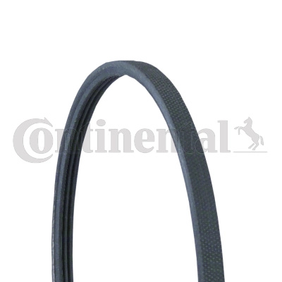 CONTINENTAL CTAM Curea transmisie cu caneluri 3PJ891 pentru masina MERCEDES-BENZ S-CLASS cupe (C215) 1999 2000 2001 2002 2003 2004 2005 2006