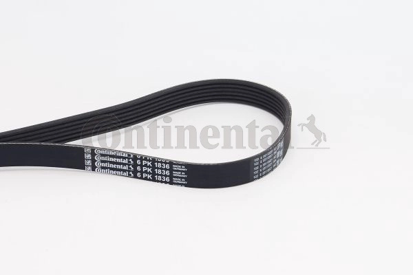 CONTINENTAL CTAM Curea transmisie cu caneluri 6PK1836 model ALFA ROMEO 147 (937_) 2000 2001 2002 2003 2004 2005 2006 2007 2008 2009 2010