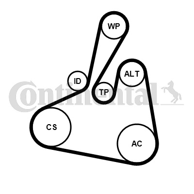 CONTINENTAL CTAM Set curea transmisie cu caneluri 6PK1502EXTRAK1 se potriveste la FORD B-MAX Van (JK) SFJA; SFJB; SFJC; SFJD 998cc 100cp 74kW 2012 2013 2014 2015 2016 2017