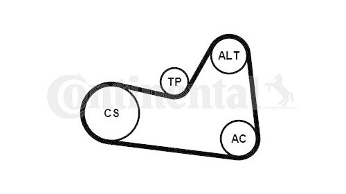 CONTINENTAL CTAM Set curea transmisie cu