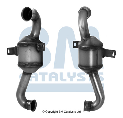 Convertizor catalitic CITROEN C3 2005-n/a BM CATALYSTS BM80339H