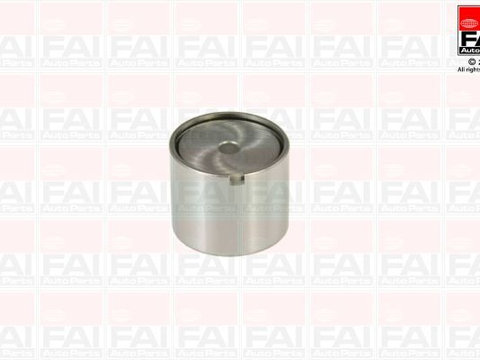 Culbutor supapa BFS181S FAI AUTOPARTS pentru Nissan Np300 Nissan Navara Nissan Murano Nissan Almera Nissan Pulsar Nissan X-trail Nissan Primera Nissan Pick Nissan Armada Nissan Pathfinder Nissan Camiones Nissan Frontier Nissan Nt400