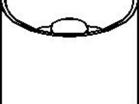 Culbutor supapa FORD SIERRA hatchback (GBC, GBG), FORD SIERRA (GBG, GB4), FORD SIERRA combi (BNG) - TOPRAN 300 622