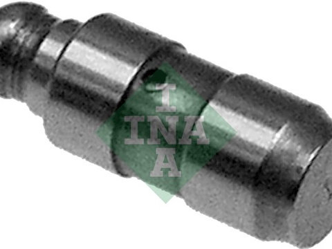 Culbutor supapa Partea de evacuare (420018110 INA) ALFA ROMEO,CHEVROLET,CHRYSLER,Citroen,FIAT,FORD,HOLDEN,JEEP,LANCIA,MARUTI SUZUKI,OPEL,PEUGEOT,SAAB,SUBARU,SUZUKI,TATA,VAUXHALL