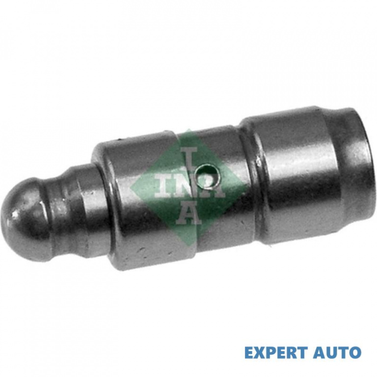 Culbutor supapa Volkswagen VW JETTA III (1K2) 2005-2010 #3 030109423