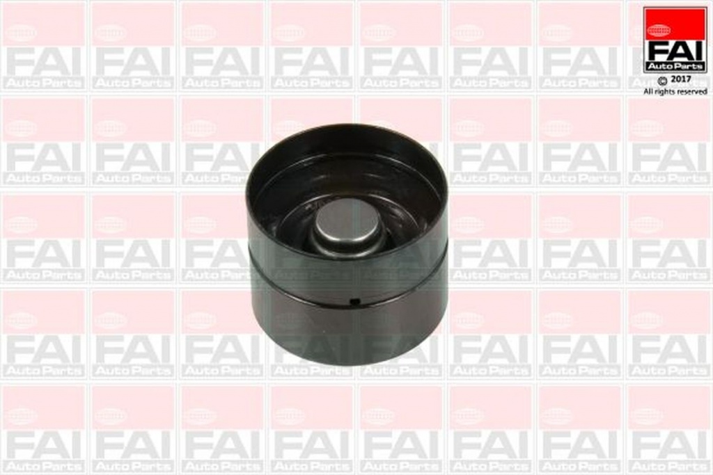 Culbutor tachet supapa AUDI A6 4B2 C5 FRECCIA PI060032