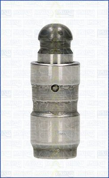 Culbutor tachet supapa AUDI TT Roadster 8J9 TRISCAN 8029011