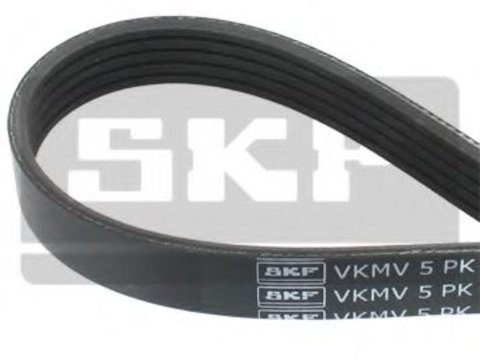 Curea accesorii BMW Z8 (E52) (2000 - 2003) SKF VKMV 5PK980