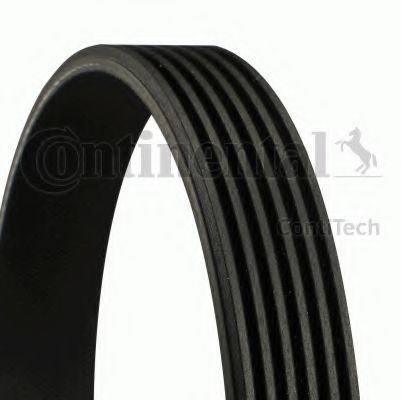 Curea accesorii CITROËN C5 II (RC_) (2004 - 2016) CONTITECH 6PK1205