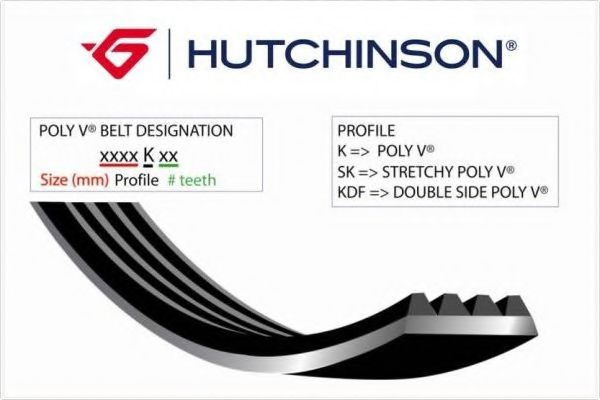 Curea accesorii FIAT ALBEA (172_) (2007 - 2016) HUTCHINSON 1180 K 6