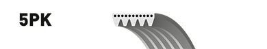 Curea accesorii RENAULT TWINGO I Van (S06_) (1993 - 2016) GATES 5PK903