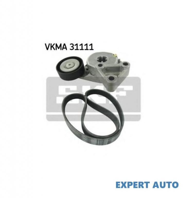 Curea alternator Volkswagen VW GOLF V (1K1) 2003-2009 #2 06A903315E