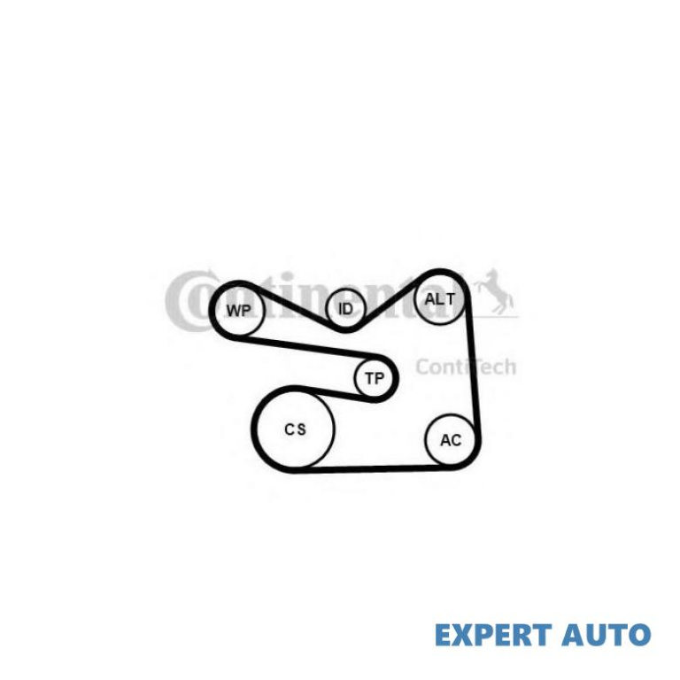 Curea alternator Volkswagen VW GOLF V (1K1) 2003-2009 #2 6PK1733K3