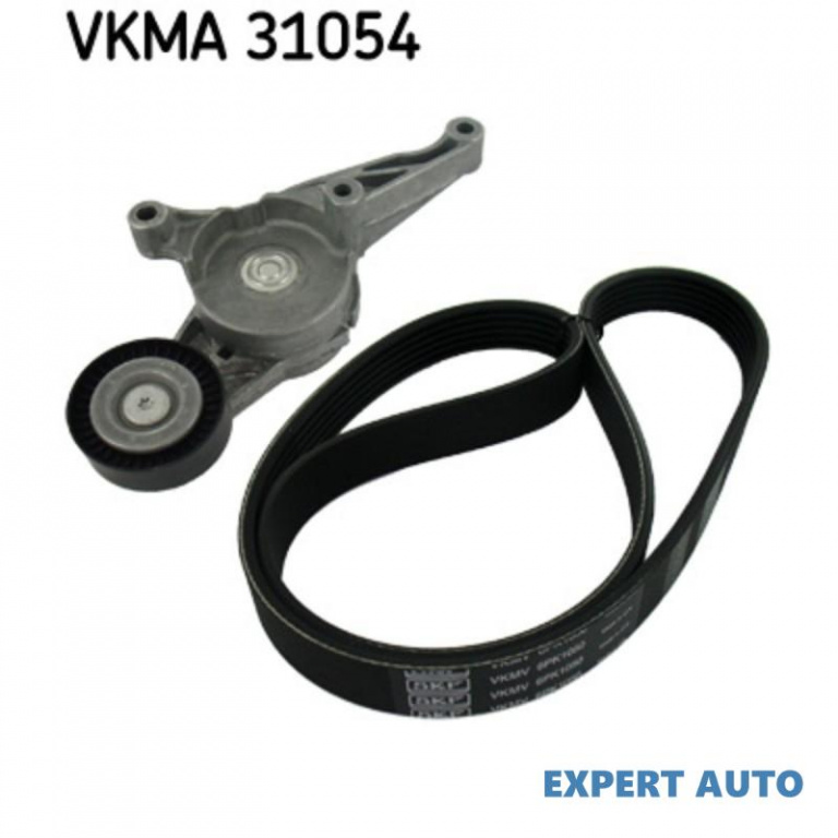 Curea alternator Volkswagen VW GOLF V Variant (1K5) 2007-2009 #3 03G903137B