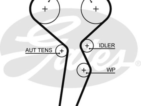 Curea de distributie (5671XS GAT) DACIA,LADA,NISSAN,RENAULT