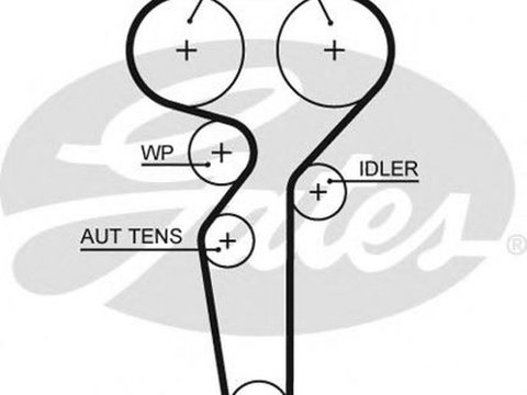 Curea de distributie ALFA ROMEO BRERA 939 GATES 5655XS