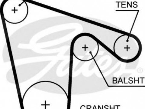Curea de distributie ALFA ROMEO GTV 916C GATES 5621XS