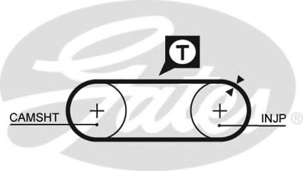Curea de distributie AUDI 100 (43, C2) (1976 - 198