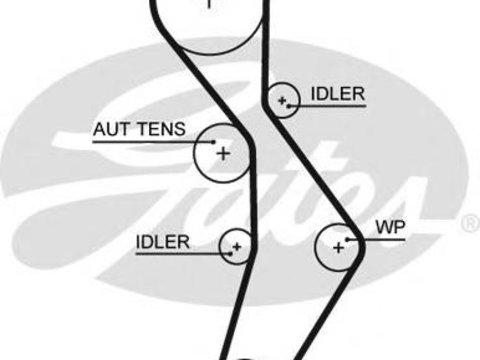 Curea de distributie AUDI A4 (8E2, B6), AUDI A4 Avant (8E5, B6), AUDI A4 Cabriolet (8H7, B6, 8HE, B7) - GATES 5604XS