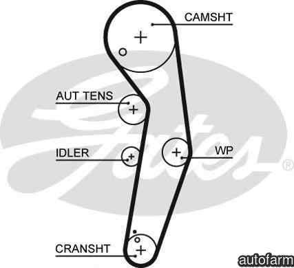 Curea de distributie AUDI A4 8EC B7 GATES 5569XS