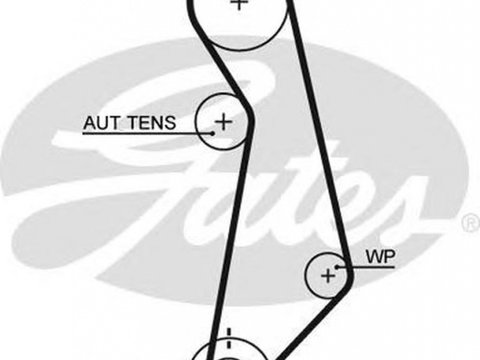 Curea de distributie AUDI A4 Avant 8E5 B6 GATES 5489XS