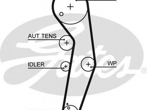 Curea de distributie AUDI A4 Avant 8E5 B6 GATES 5569XS