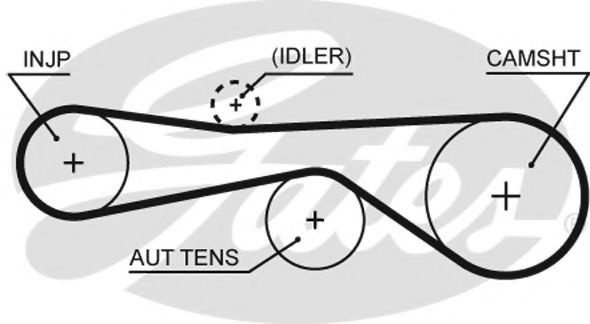 Curea de distributie AUDI A4 Avant (8ED, B7) (2004 - 2008) GATES 5614XS