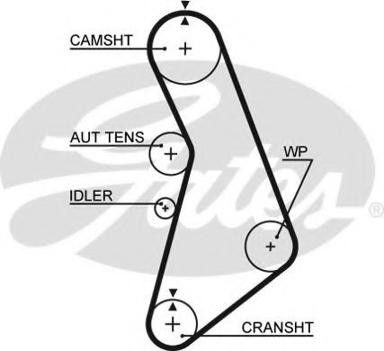 Curea de distributie AUDI A6 (4B2, C5) (1997 - 200