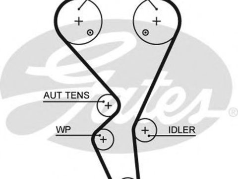 Curea de distributie CITROËN BERLINGO caroserie (B9) (2008 - 2020) GATES 5581XS