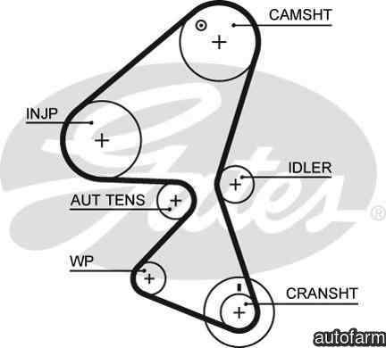 Curea de distributie CITROËN C5 II Break RE GATES