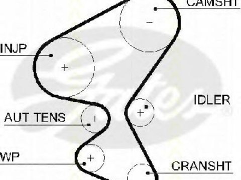 Curea de distributie Citroen BERLINGO I caroserie (M_), Citroen BERLINGO (MF), PEUGEOT RANCH caroserie (5) - TRISCAN 8645 5598xs